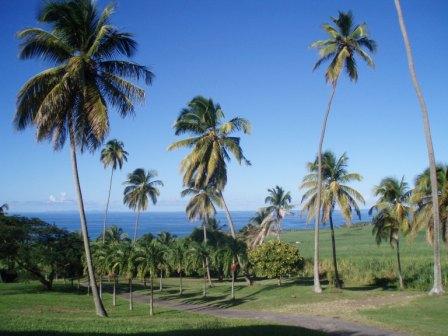 St-Kitts